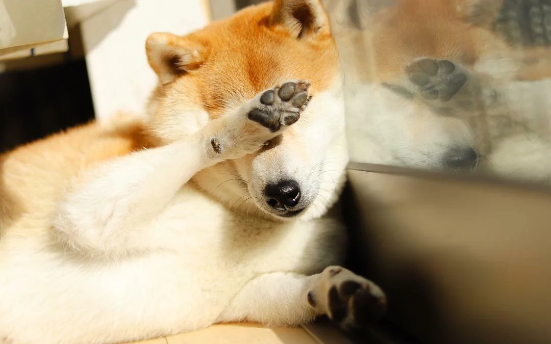 Thảo Luận truyện tranh Quái thú với hoa Online