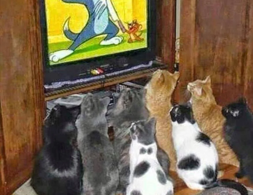 Review truyện tranh Sau Khi Max Độ Yêu Thích Online