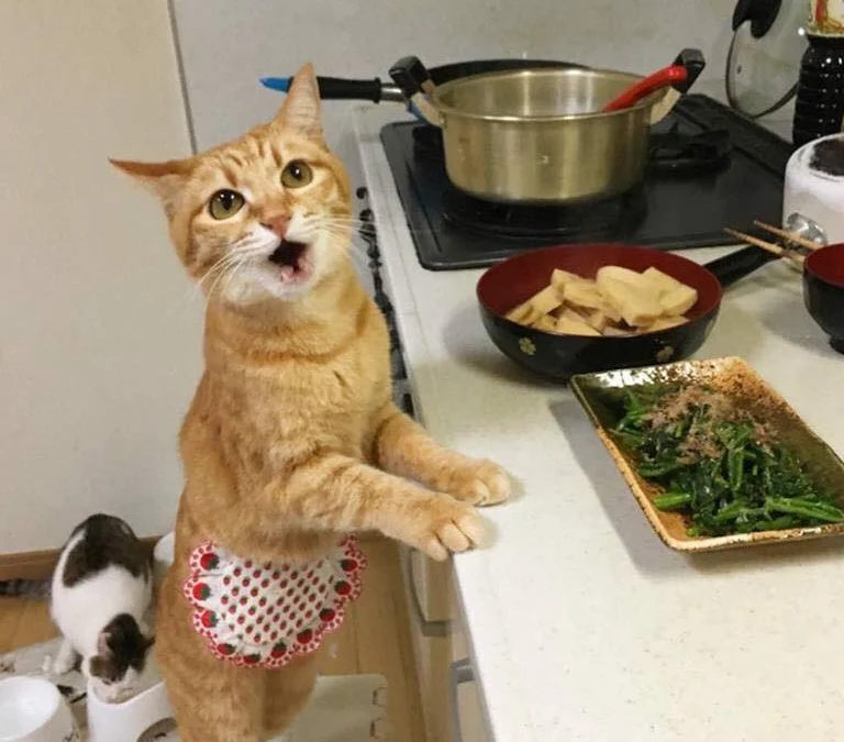 Review truyện tranh 4222 Online