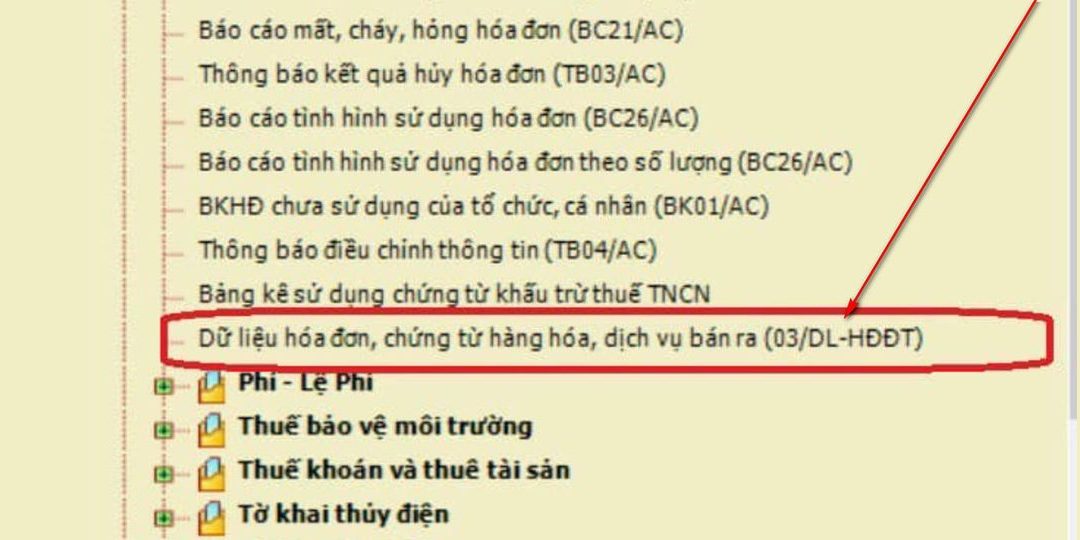 Cái phụ lục 03 này thấy nhiều bạn làm kèm theo báo cáo quý 04/2021 lạ lùng nhỉ?
…