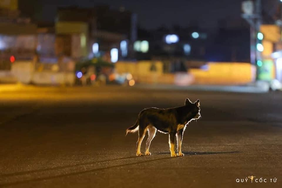 Review truyện tranh 4096 Online