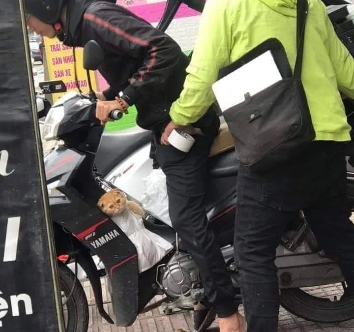 Gốc đánh giá truyện tranh Nhược Hữu Hàn Đông Ngộ Noãn Dương Online