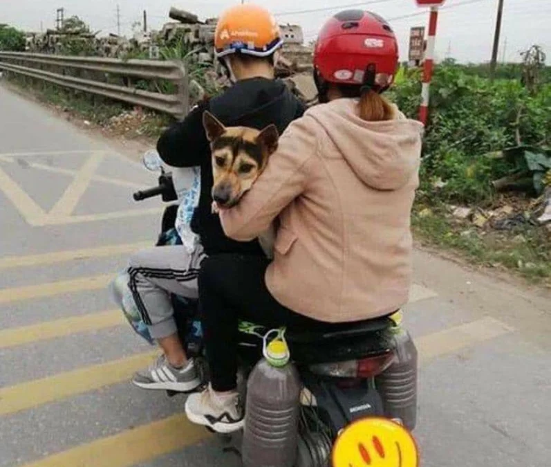 Review về  truyện chữ Ta đi rồi, tra công nói hắn hối hận / Hắn lì lợm la liếm cầu hợp lại Novel Online