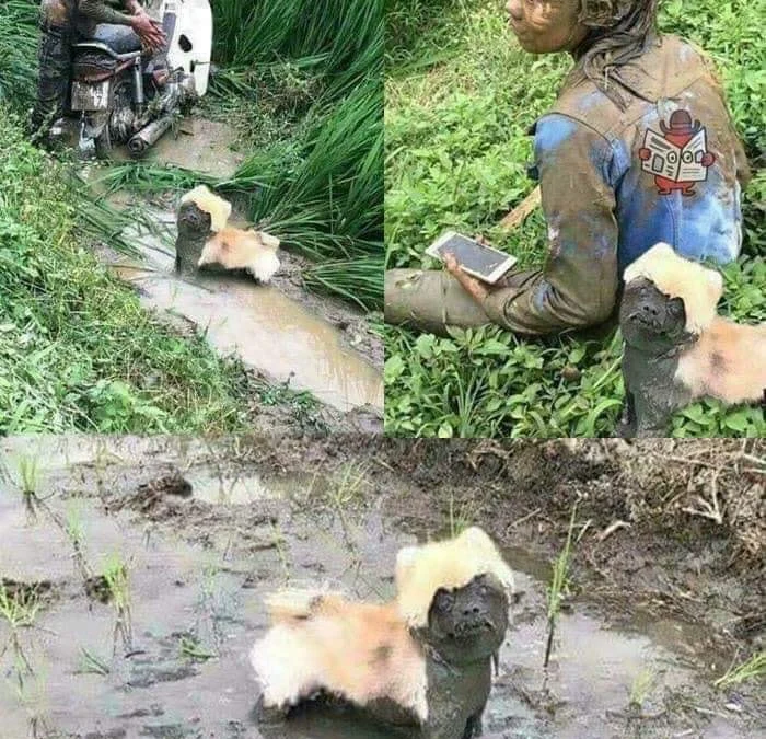 Gốc đánh giá truyện chữ Luận người qua đường Giáp vai chính đãi ngộ  Novel Online