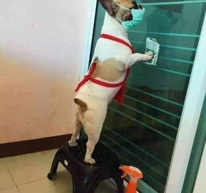 Tóm tắt truyện chữ Chuyên nghiệp câu dẫn [ xuyên nhanh ] Novel Online