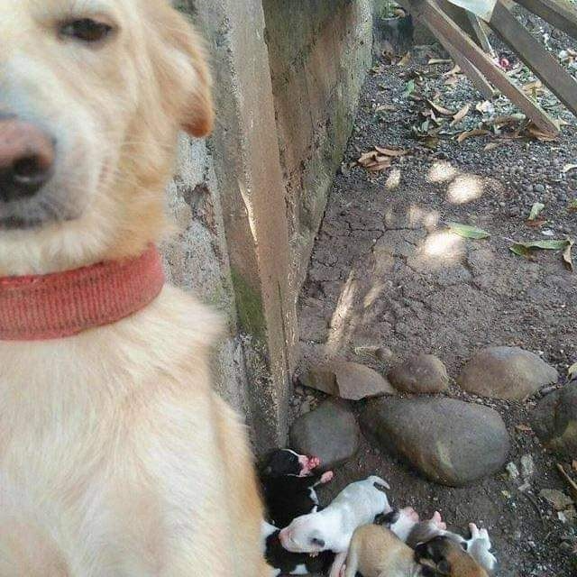 Thảo Luận truyện chữ Chức nghiệp vai ác cả năm vô hưu Novel Online