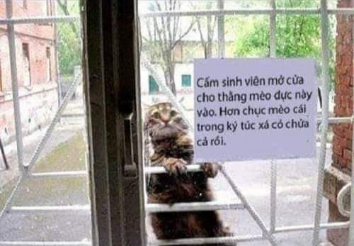 Thảo Luận truyện chữ Yêu con đường đồ Novel Online