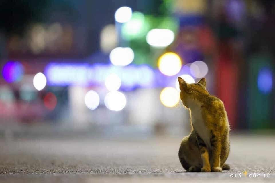 Review truyện tranh Thế Giới Tươi Đẹp Online