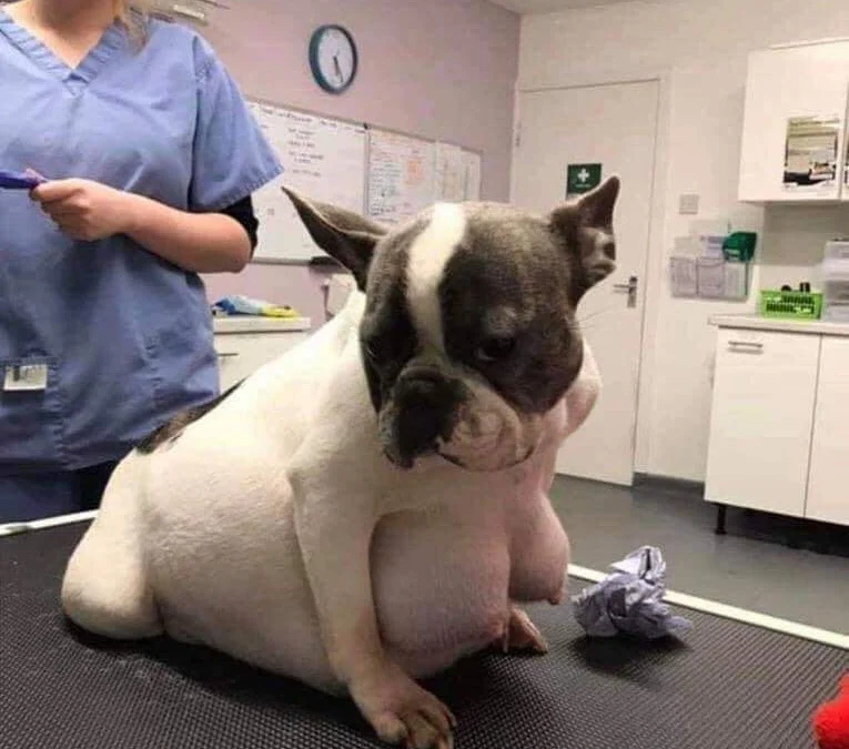 Gốc đánh giá truyện tranh 4195 Online