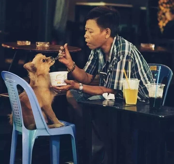 Thảo Luận truyện tranh 3360 Online