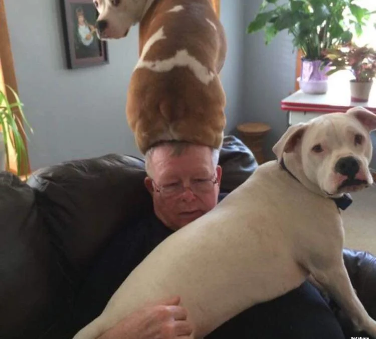 Thảo Luận truyện tranh 3931 Online