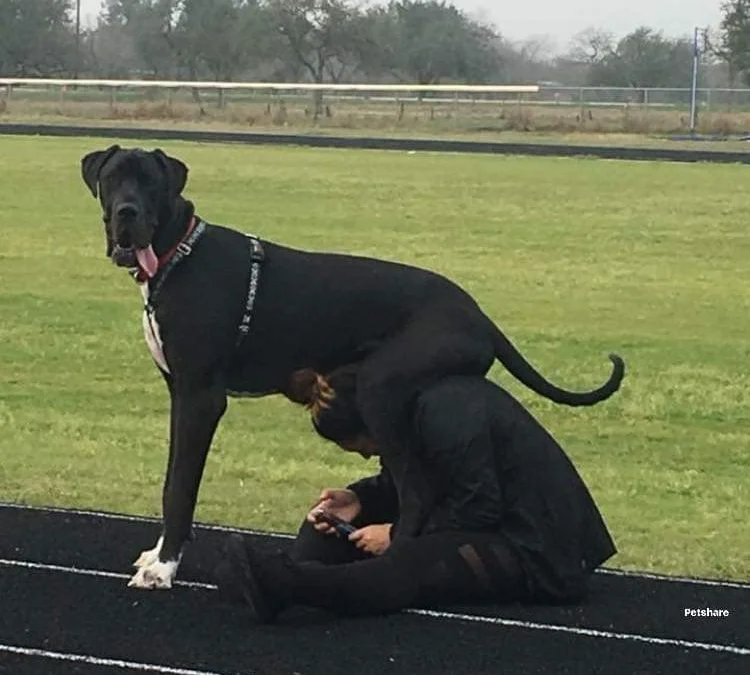 Review về  truyện chữ Không sợ mây bay che vọng mắt Novel Online