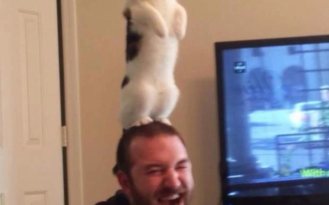 Gốc đánh giá truyện tranh 3465 Online