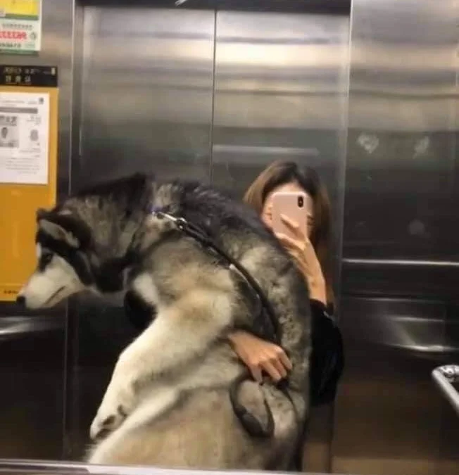 Thảo Luận truyện tranh 3369 Online