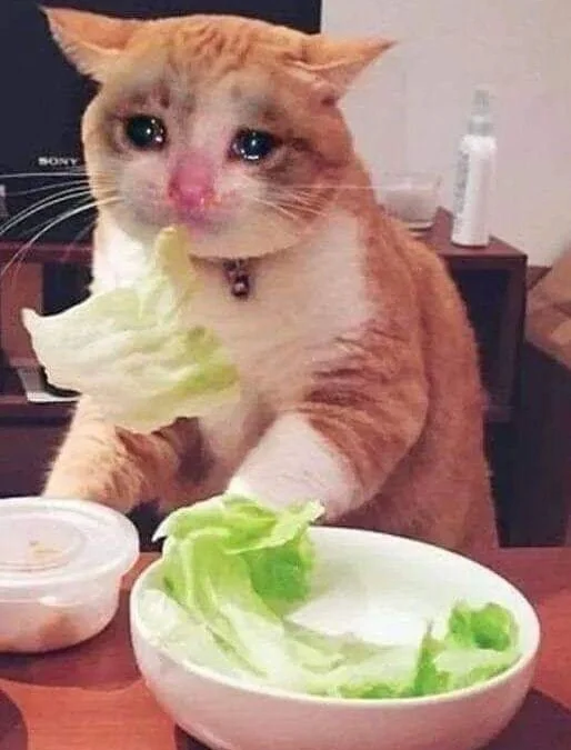 Review truyện tranh Trong Sinh Chi Ức Vạn Ảnh Hậu Yếu Thượng Vị Online