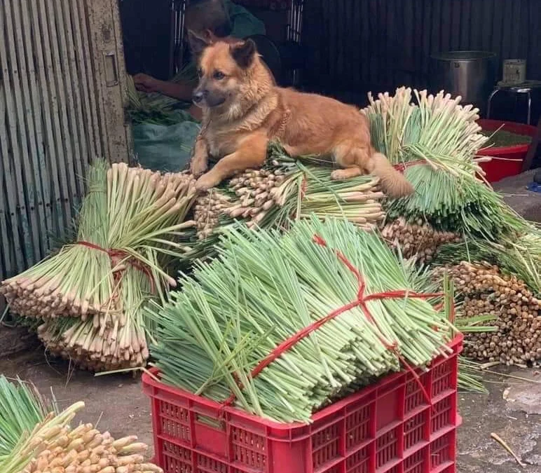 Thảo Luận truyện chữ Đệ nhị vị trí Novel Online