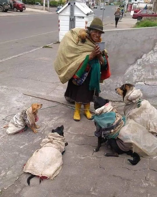 Thảo Luận truyện tranh 3365 Online