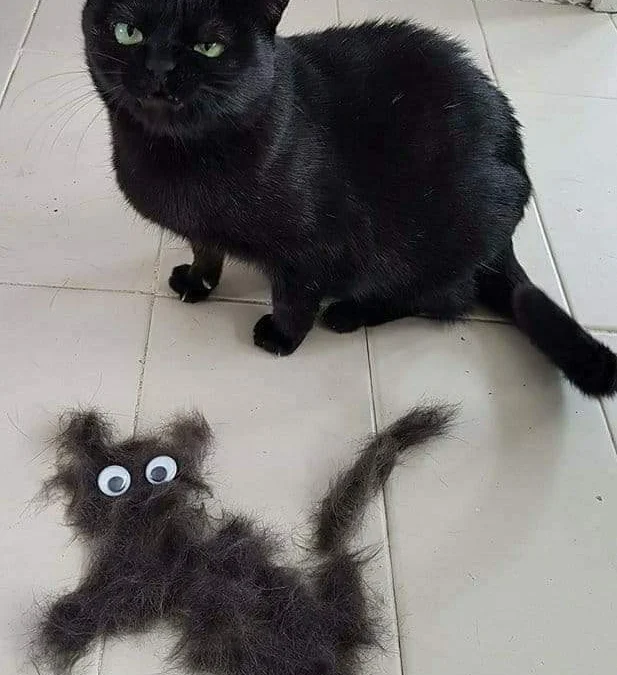 Thảo Luận truyện chữ Bắt đầu Novel Online