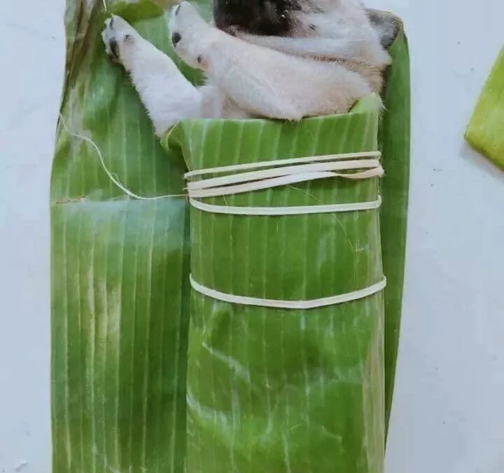 Gốc đánh giá truyện tranh Lâu Đài Vô Danh Online