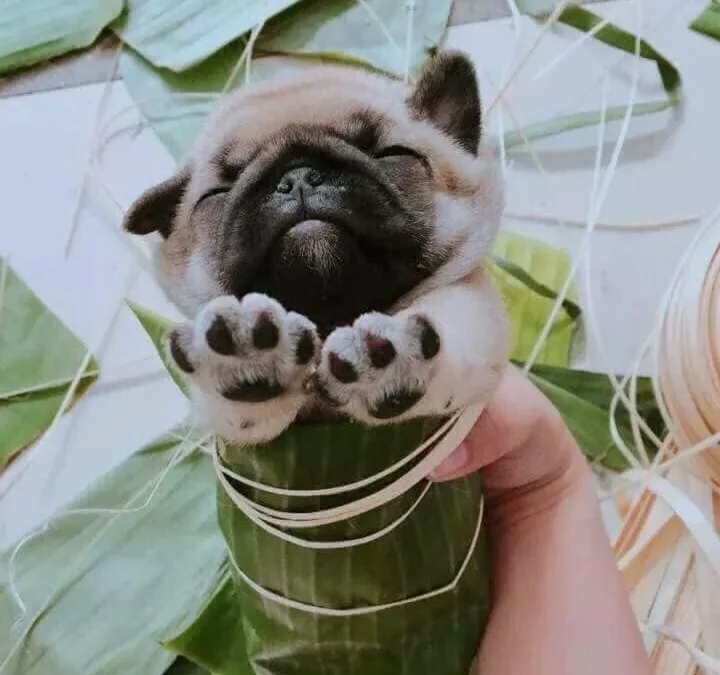 Gốc đánh giá truyện tranh 3579 Online