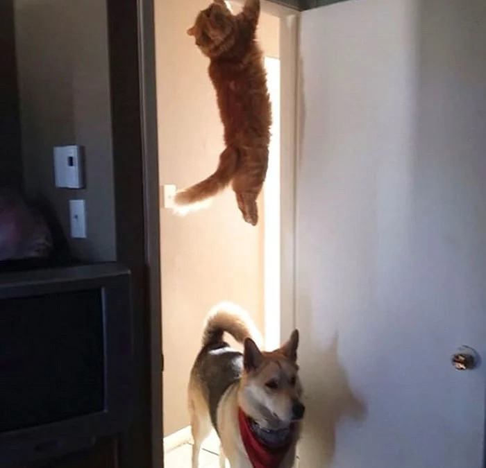 Thảo Luận truyện tranh Trọng Sinh Siêu Sao – Lăng Thiếu Sủng Nghiện Online