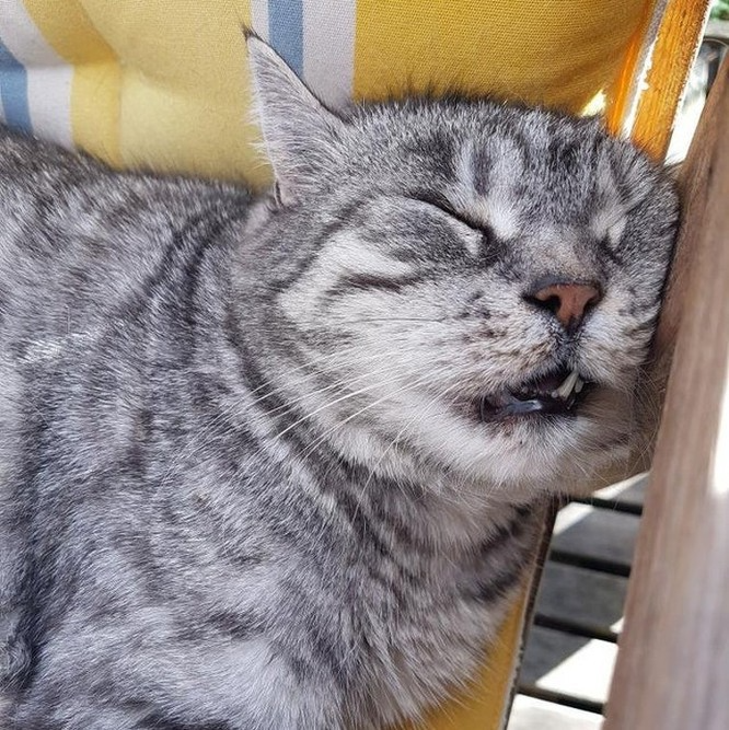 Ai Tóm tắt giúp truyện chữ Chư thiên từ đại la điện bắt đầu  Novel Online