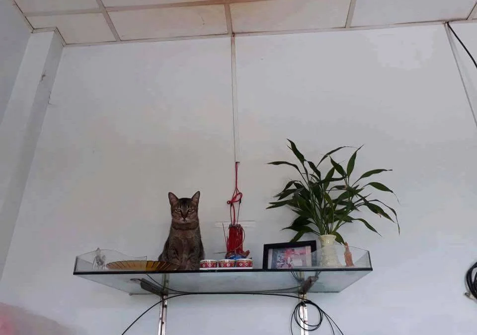 Review truyện tranh Ánh Sáng Cuối Con Đường Online