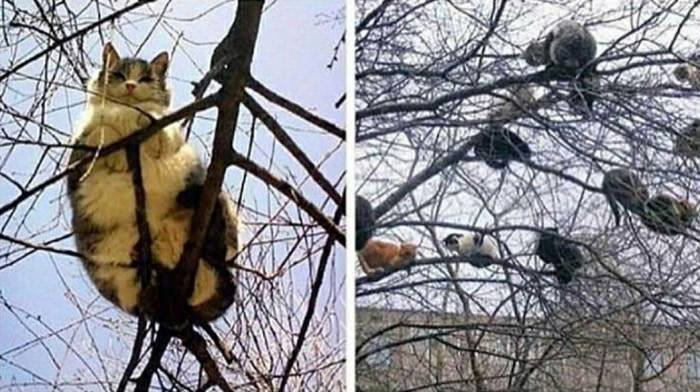 Gốc đánh giá truyện tranh 3542 Online