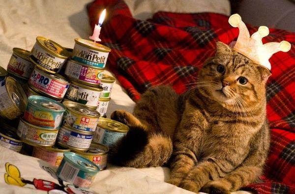 Gốc đánh giá truyện tranh Trọng sinh quý thê chi phục thù hoa lệ Online