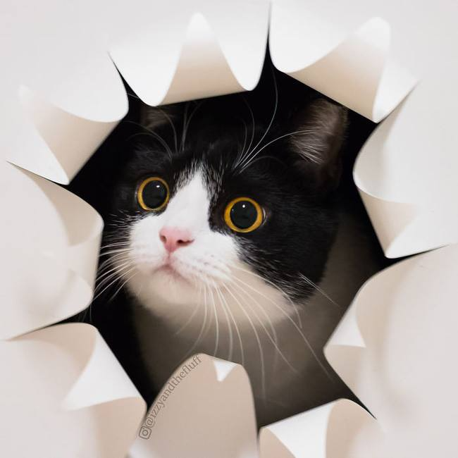 Thảo Luận truyện tranh Người Đẹp Và Quái Thú Online