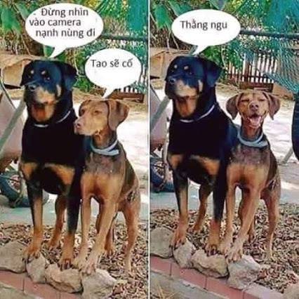 Tóm tắt truyện chữ Bị kiếm quân chồng trước trảm tình chứng đạo về sau  Novel Online