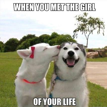 Tóm tắt truyện chữ Ốm yếu tướng công tổng diễn ta Novel Online