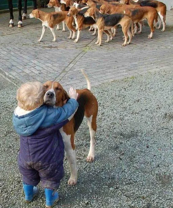 Thảo Luận truyện chữ Kamen rider mệnh chi phách  Novel Online