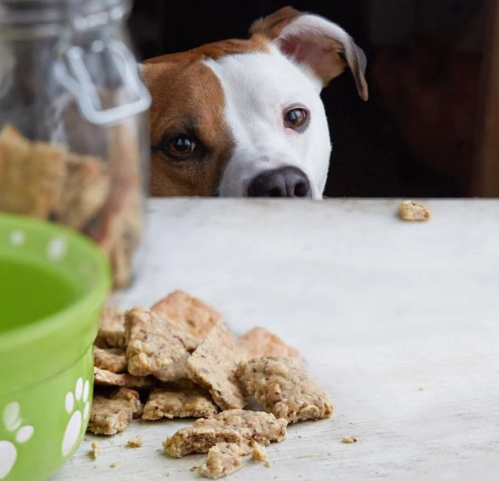 Thảo Luận truyện tranh Truy Nã Toàn Cầu Truy Thê Về Sủng Online