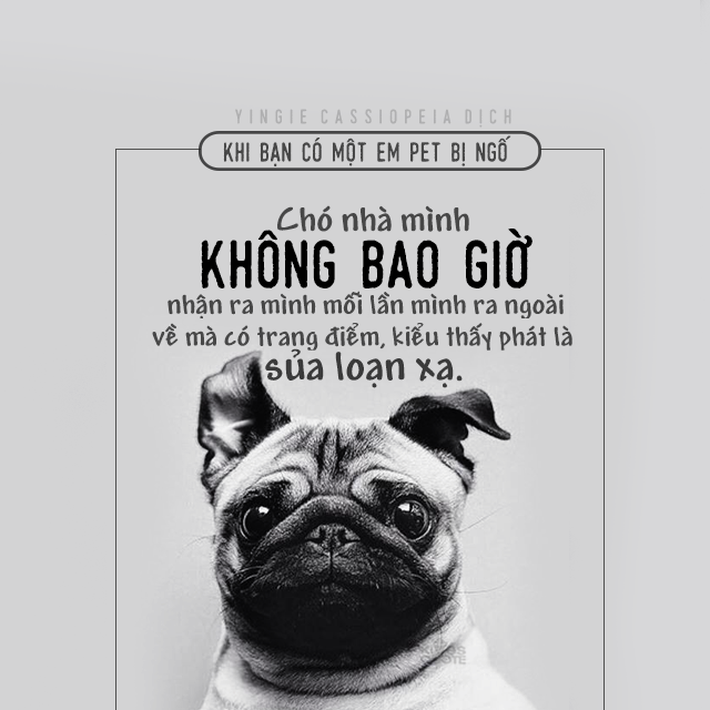 Gốc đánh giá truyện chữ Thần cấp y tế Novel Online