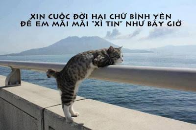 Thảo Luận truyện tranh Kế Hoạch Tự Cứu Của Phản Phái Ma Nữ Online