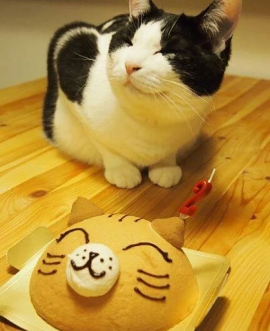 Thảo Luận truyện chữ Gợn sóng  Novel Online