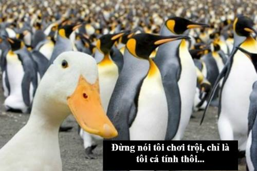 Thảo Luận truyện tranh 3544 Online