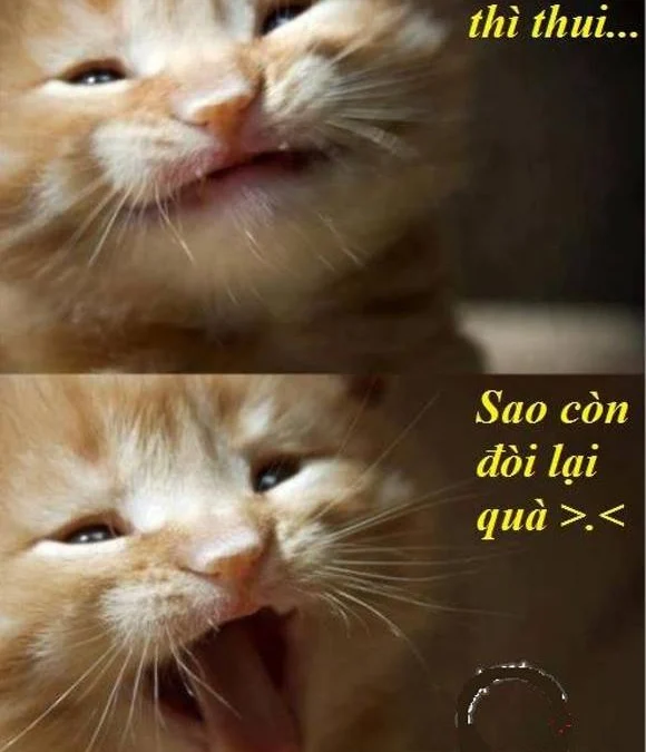 Review về  truyện chữ Ta là hải vương, ta lật xe Novel Online