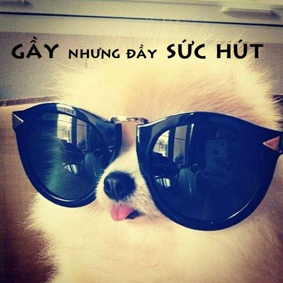 Gốc đánh giá truyện chữ Nam tử tu tiên sinh hằng ngày   Novel Online