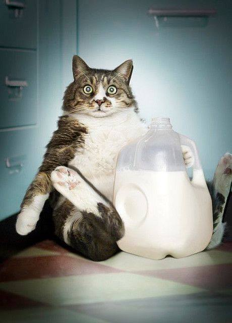 Thảo Luận truyện chữ Nữ giả nam trang sau, ta kiều dưỡng kinh thành bá chủ Novel Online