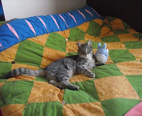 Thảo Luận truyện tranh Bố Vô Song Online