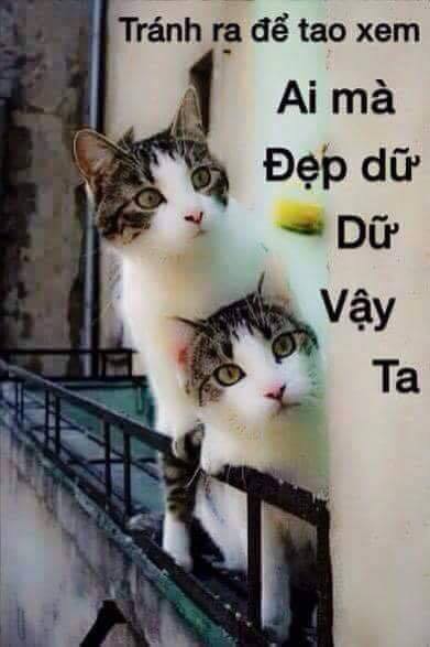 Ai Tóm tắt giúp truyện chữ Ta mang bay toàn bộ giới giải trí Novel Online