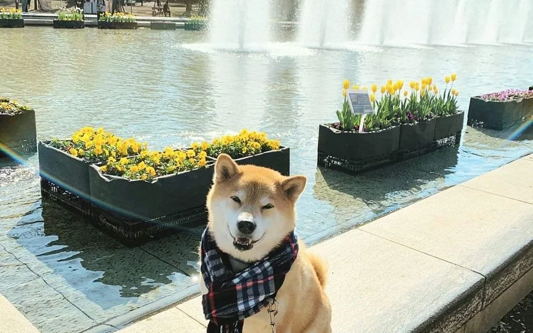 Thảo Luận truyện tranh 3543 Online