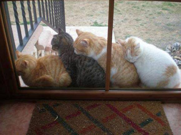 Tóm tắt truyện chữ Ta ở đao kiếm thần vực chơi tiểu hào Novel Online