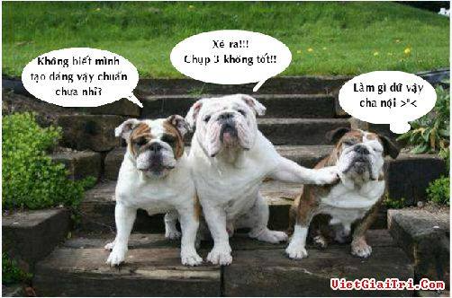 Gốc đánh giá truyện chữ Quải Thái Tử mở tửu lầu Novel Online