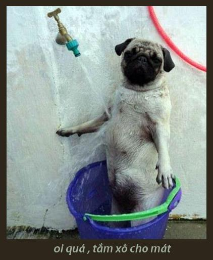 Review truyện tranh Lui Lui Lui Lui Ra! Online