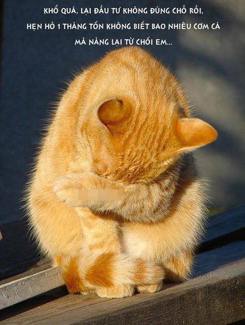 Thảo Luận truyện chữ Phật hệ nữ xứng cầm vương giả kịch bản ( xuyên nhanh ) Novel Online