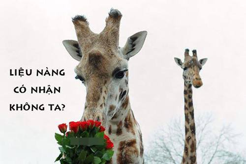 Gốc đánh giá truyện tranh Trực nam tiểu kiều phi của vương phủ Online