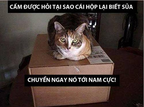 Review truyện tranh Tôi đến từ thế giới trò chơi Online